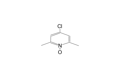 4-chloro-2,6-dimethyl-1-oxidopyridin-1-ium