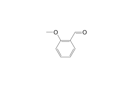 o-Anisaldehyde