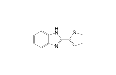 2-(2'-THIENYL)-BENZIMIDAZOLE