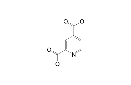 2,4-Pyridinedicarboxylic acid