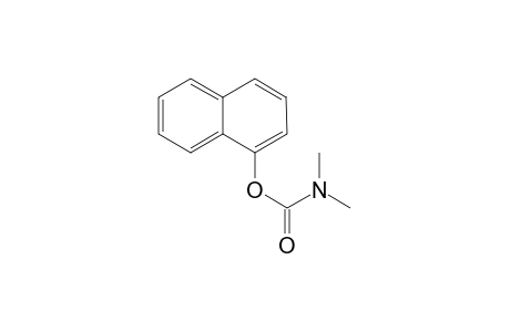 Carbamic acid, dimethyl-, 1-naphthalenyl ester