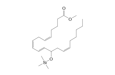 12-HETE TMS-Me derivative