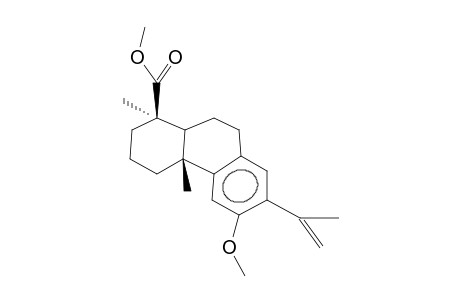 12-METHOXY-8,11,13,15-TETRAENE-19-DEHYDROABIETIC ACID METHYL ESTER