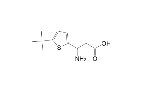 beta-AMINO-5-tert-BUTYL-2-THIOPHENEPROPIONIC ACID