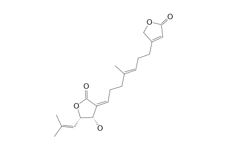 HETEROPLEXISOLIDE_C