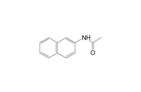 ACETAMIDE, N-/2-NAPHTHYL/-,