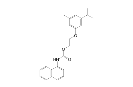 1-NAPHTHALENECARBAMIC ACID, 2-//M- CYM-5-YL/OXY/ETHYL ESTER