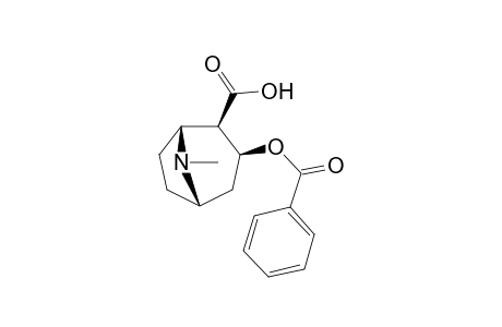 Benzoylecgonine