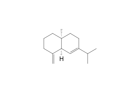 Sibirene