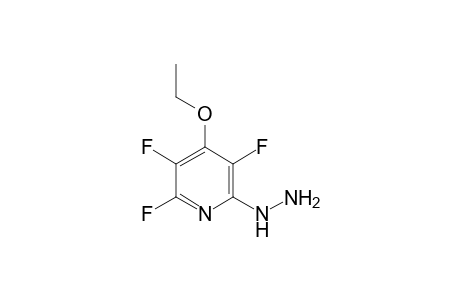 4-ethoxy-2,3,5-trifluoro-6-hydrazinopyridine