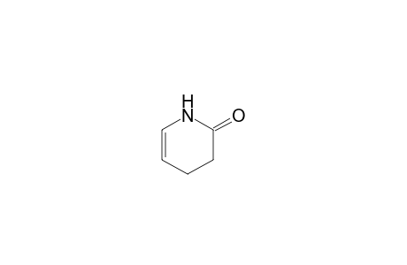 3,4-DIHYDRO-2-PYRIDONE