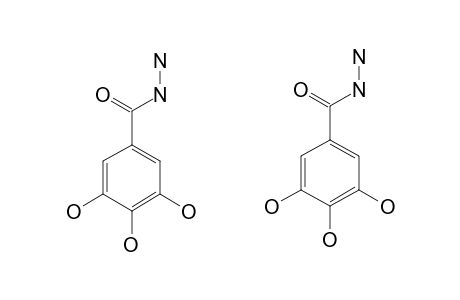 GALLIC-HYDRAZIDE