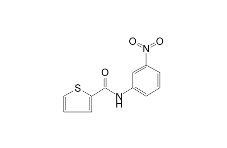 Thiophene-2-carboxamide, N-(3-nitrophenyl)-