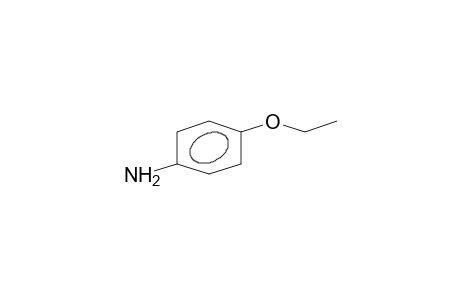 p-Phenetidine