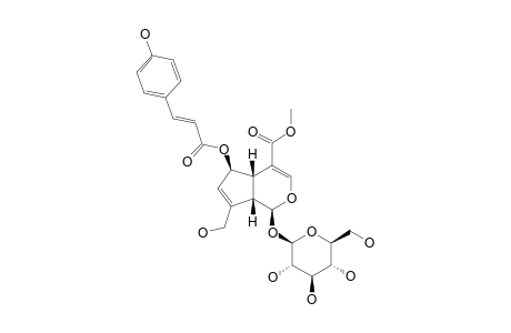 (E)-6-O-PARA-COUMAROYL-SCANDOSIDE-METHYLESTER