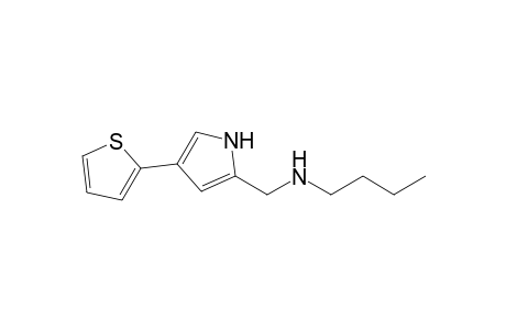 N-{[4-(2-THIENYL)-1H-PYRROL-2-YL]-METHYL}-1-BUTANAMINE