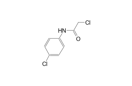 2,4'-Dichloroacetanilide