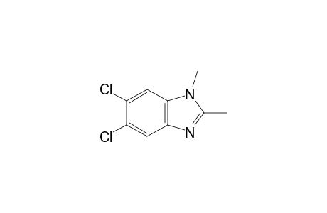 5,6-dichloro-1,2-dimethylbenzimidazole