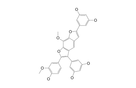 GNETUHAININ-G