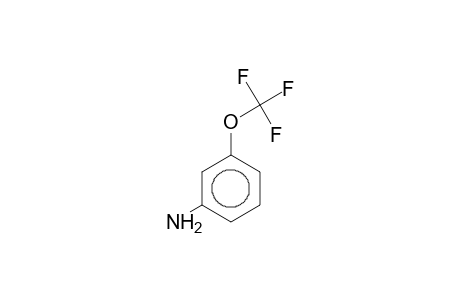 3-(Trifluoromethoxy)aniline