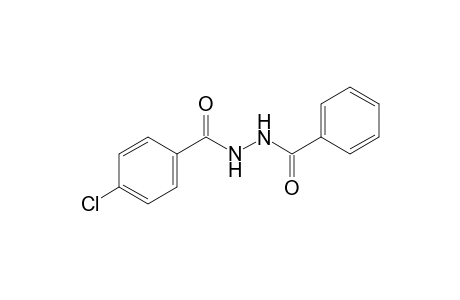 1-benzoyl-2-(p-chlorobenzoyl)hydrazine