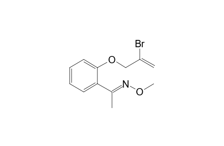 2-(2-BROMOALLYLOXY)-PHENYL-METHYL-KETONE-O-METHYLOXIME;MAJOR-ISOMER