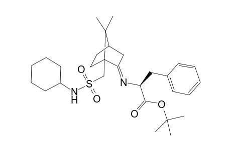 N-Cyclohexyl-10-[2-(1-(tert-butyloxycarbonyl)-2-phenylethyl)imino-7,7-dimethylcyclo[2.2.1]heptyl)methyl]sulfonamide isomer