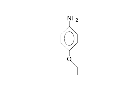 p-Phenetidine