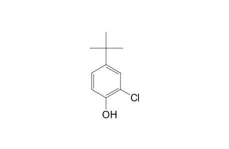 4-tert-Butyl-2-chlorophenol