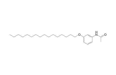 3'-(hexadecyloxy)acetanilide