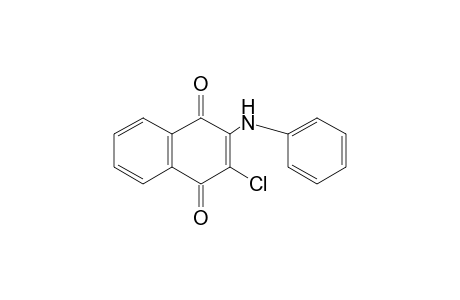 2-anilino-3-chloro-1,4-naphthoquinone