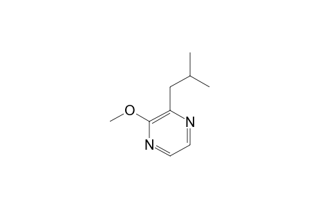 2-Isobutyl-3-methoxy-pyrazine