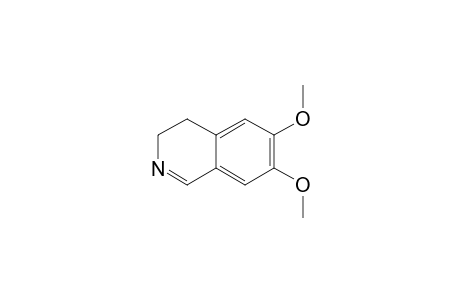 6,7-Dimethoxy-3,4-dihydro-isoquinoline