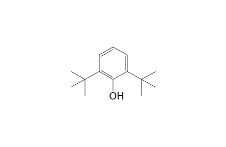 2,6-DI-tert-BUTYLPHENOL