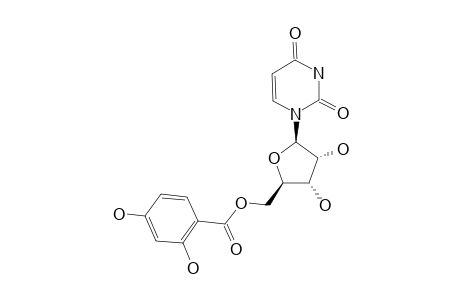 5'-(2'',4''-DIHYDROXYBENZOYL)-URIDINE