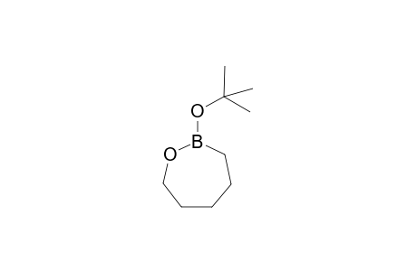 2-tert-Butoxyoxaborepane