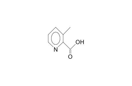 3-Methylpyridine-2-carboxylic acid