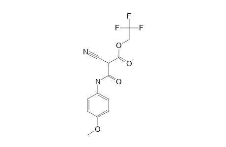 2-cyano-3-keto-3-[(4-methoxyphenyl)amino]propionic acid 2,2,2-trifluoroethyl ester