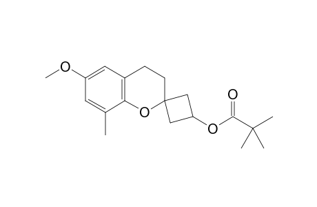 trans-6-Methoxy-8-methylspiro[chromane-2,1'-cyclobutan]-3'-yl pivalate