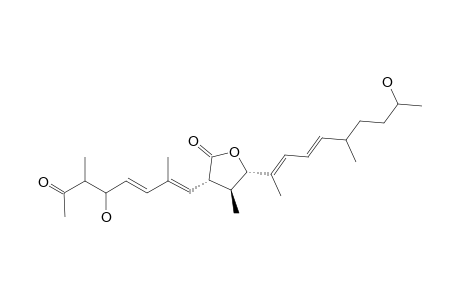 CURVICOLLIDE-B