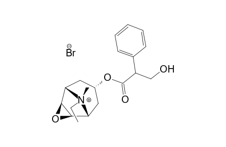 (8R)-6beta,7beta-EPOXY-8-ETHYL-3alpha-HYDROXY-1alphaH,5alphaH-TROPANIUM BROMIDE,(-)-TROPATE (ESTER)