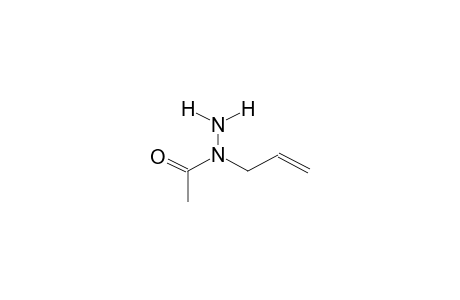 (E)-1-ACETYL-1-ALLYLHYDRAZINE