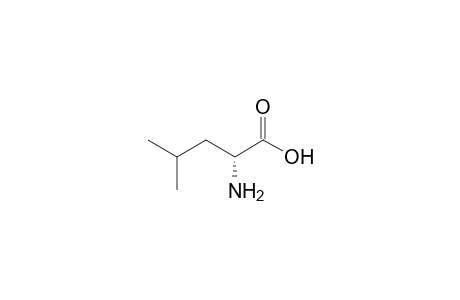 D-Leucine