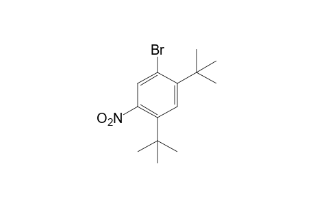 1-bromo-2,4-di-tert-butyl-5-nitrobenzene