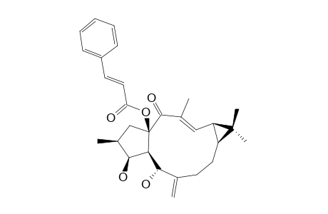 (+)-(12-E,2-S,3-S,4-R,5-R,9-S,11-S,15-R)-15-CINNAMOYLOXY-LATHYRA-6-(17),12-DIENE-3,5-DIOL-14-ONE