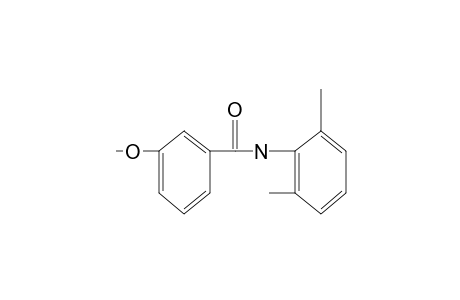 m-aniso-2',6'-xylidide