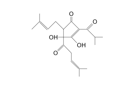 trans-Iso-cohumulone