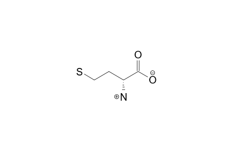 HOMOCYSTEINE