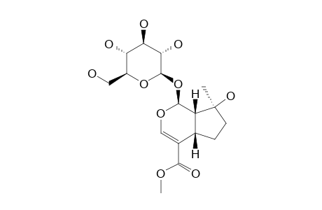 MUSSAENOSIDE;MORE-POLAR-MAJOR-PRODUCT