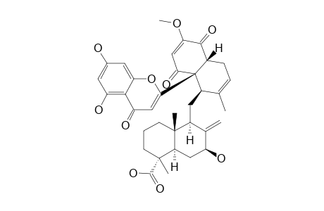 DICHROSTACHINE_E